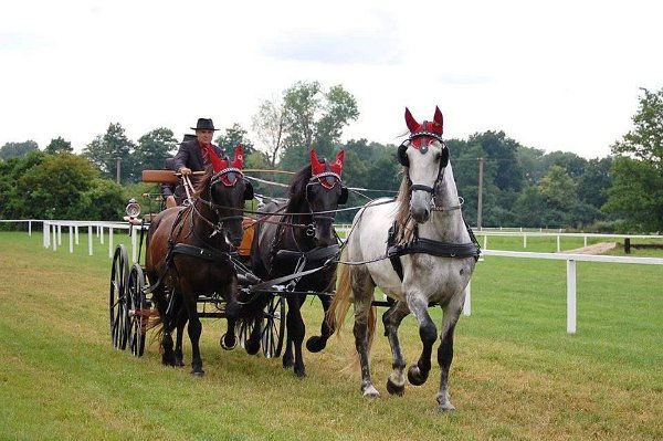 13592200_545667205634500_8331678026795430314_n