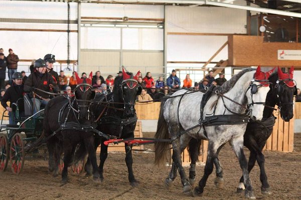 10314503_485961144938440_4518386673636186650_n