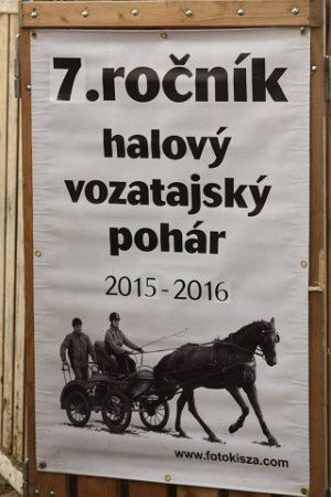 12417944_485960844938470_8744299878641456836_n