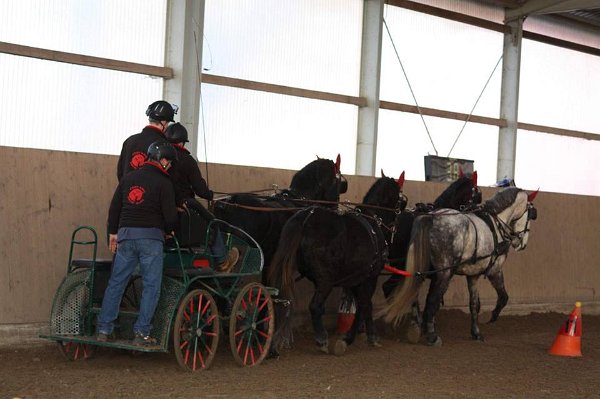 12507433_485961141605107_8406043884899398789_n