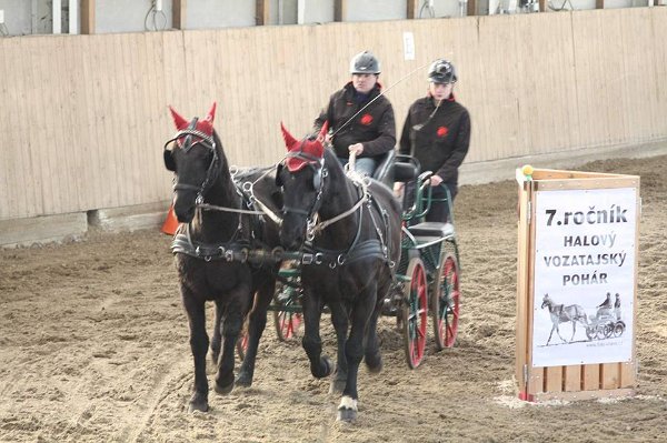 12509597_485961111605110_1427266899685917916_n