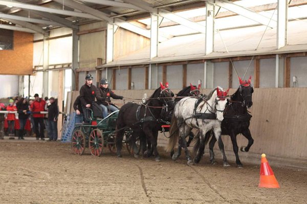 12509732_485961124938442_7942401915362975334_n