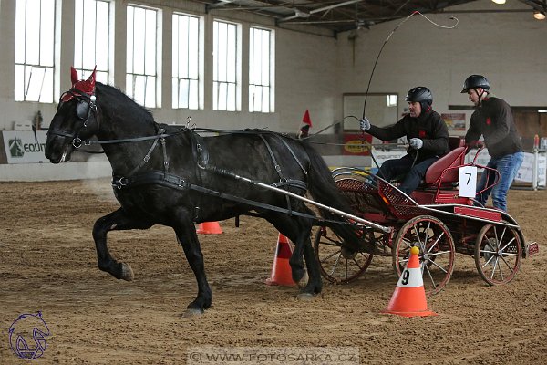 1022018-halovky-slatinany-24302