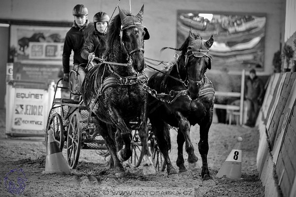 1022018-halovky-slatinany-24153