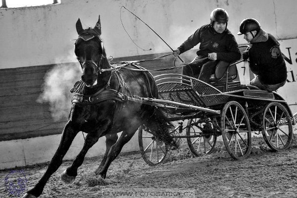 1022018-halovky-slatinany-24248