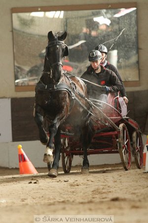 12729327_494722204062334_2801058561738019576_n