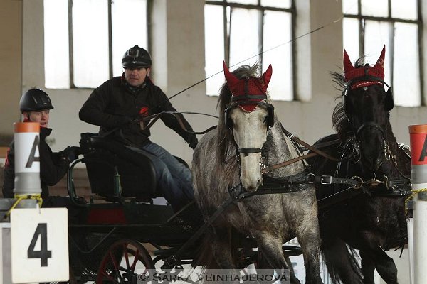 12733571_494722284062326_2925384179422029895_n