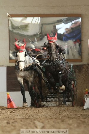 12744567_494722360728985_540849897300843227_n