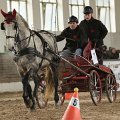 vozatajske-halove-zavody-slatinany-13-2-2016
