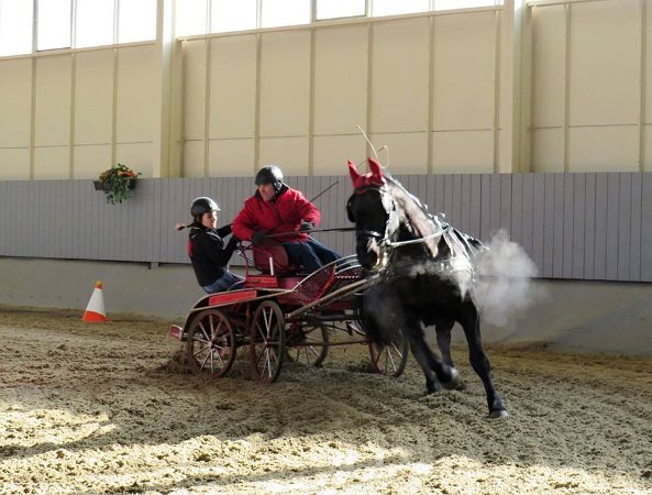 28168598_813819018819316_5431385946156465389_n