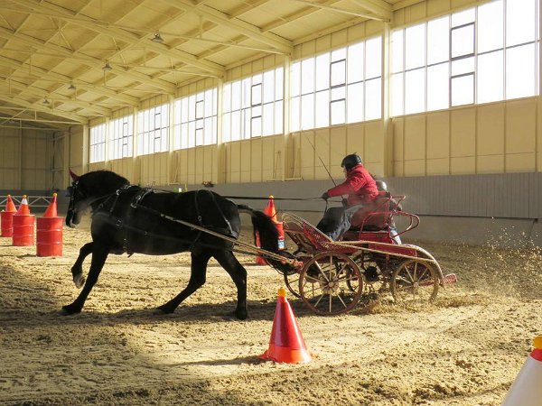 28276725_813819088819309_3221359203031893082_n