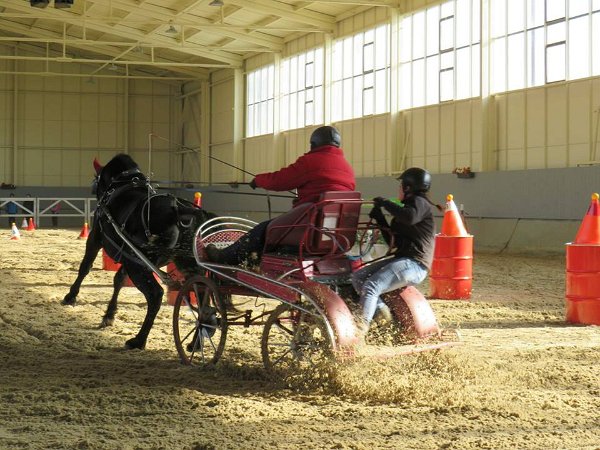 28276921_813819035485981_5605818053988386507_n