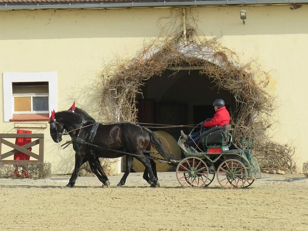 28276948_813819225485962_3867714727741799755_n