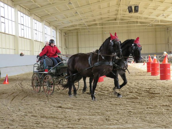 28378375_813819158819302_1898518070663528772_n