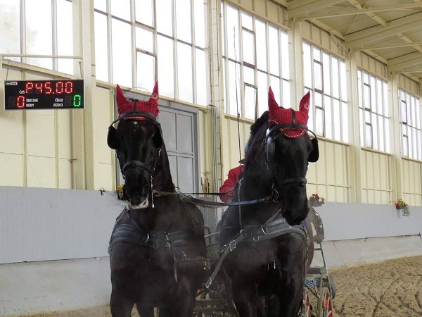 28378516_813819155485969_8107242619717958010_n