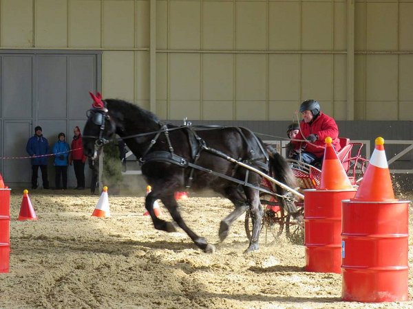 28379819_813819092152642_2972031497815983518_n