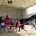 vozatajske-halove-zavody-tlumacov-24-2-2018