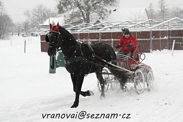 11215169_485961271605094_3686171740799259369_n