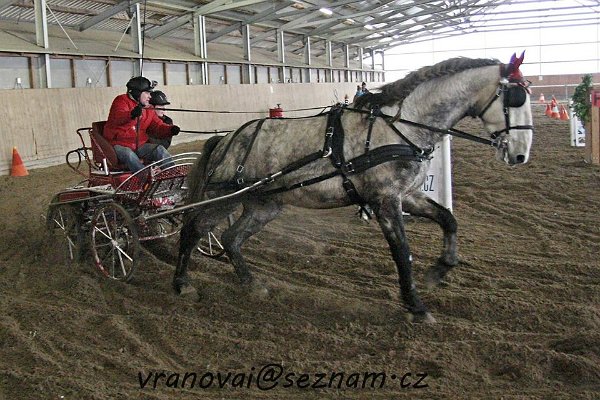 12417807_485961378271750_2478972551965078162_n