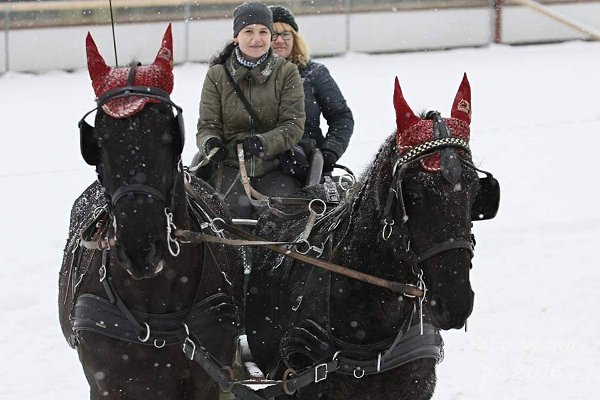 12494868_485961368271751_2128461550298187653_n