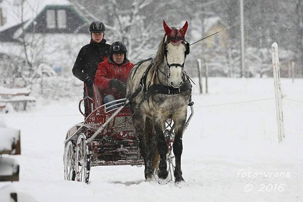 12510362_485961321605089_3815442271037099921_n