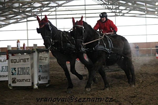 12540978_485961418271746_3110655991588630603_n