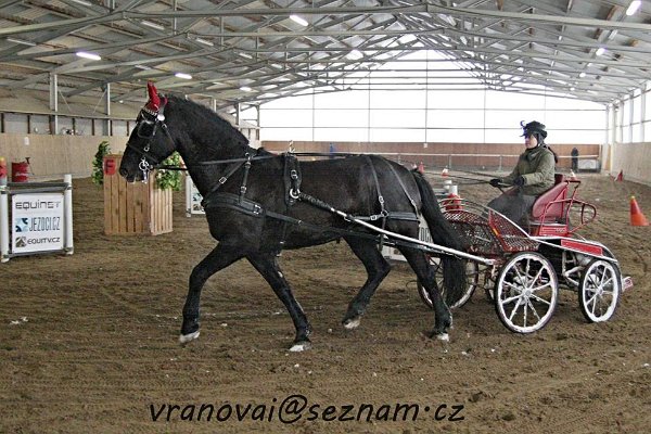 12553087_485961361605085_3239267996964481651_n