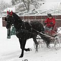 vozatajske-halove-zavody-trojanovice-16-1-2016