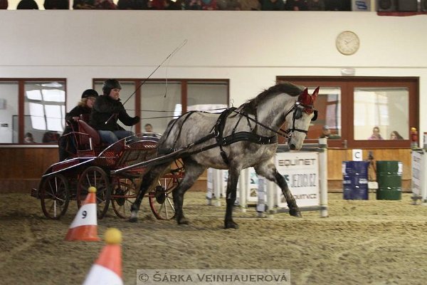 12813952_499714526896435_1776548629027278593_n