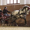 vozatajske-halove-zavody-vfu-brno-27-2-2016