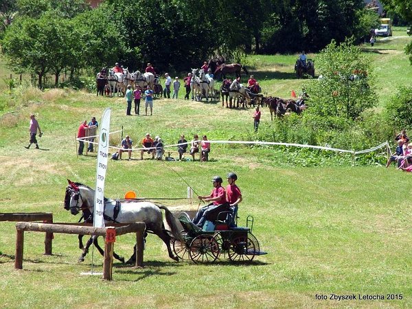 11889669_445913062276582_5181613188306459412_n