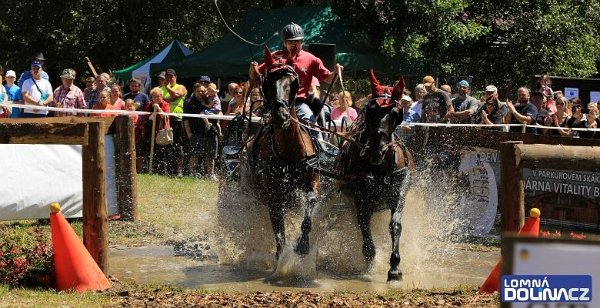 11891115_445913128943242_1100196242522896822_n