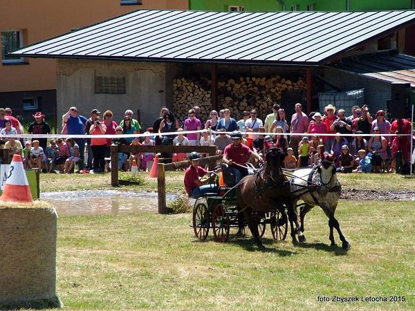 11907197_445913068943248_7148981314941122981_n