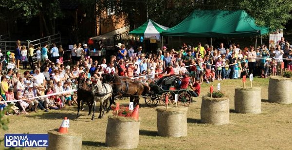 11907222_445913148943240_6620135393213305316_n