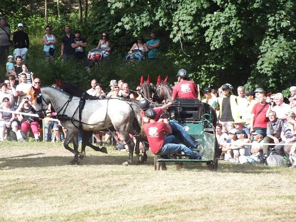 11921605_445897802278108_6423943094860738319_n