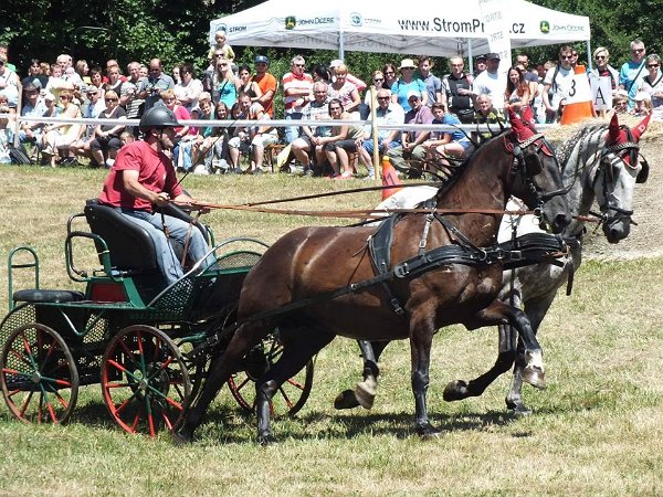 11921669_445897842278104_7513242335671354214_n