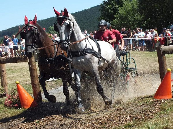 11947479_445897798944775_8595847821293756872_n