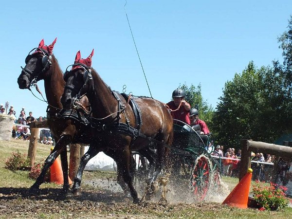 11947486_445897748944780_6496907445750823444_n