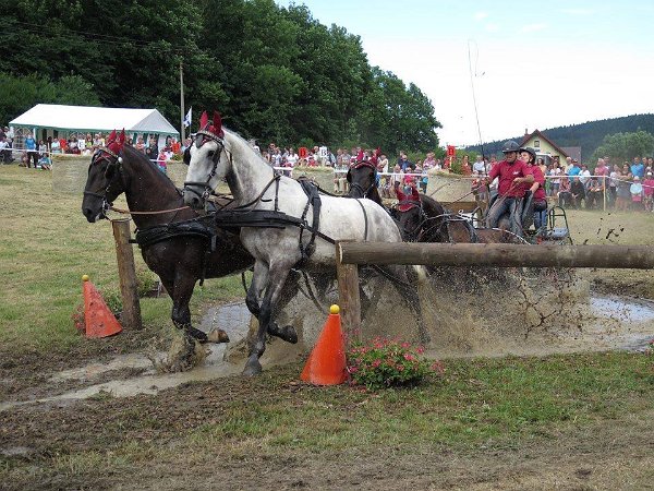 11951315_445897752278113_1878233206389785921_n