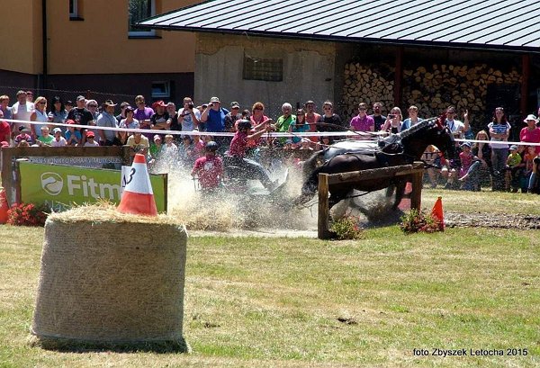 11951334_445913108943244_9169333123671165352_n