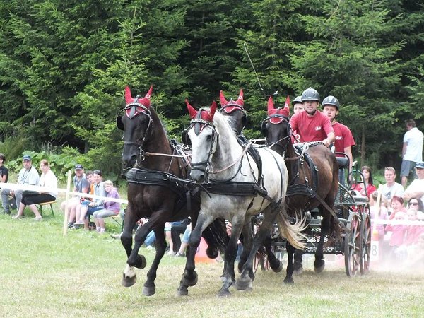 11954759_445897788944776_2909227525661662880_n