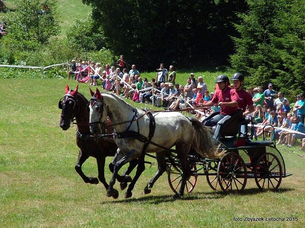 11960103_445913065609915_4776633596101294897_n