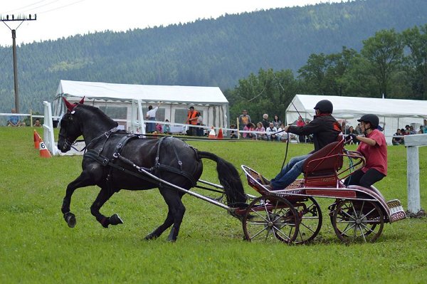 20246224_719884634879422_5705732047802872770_n