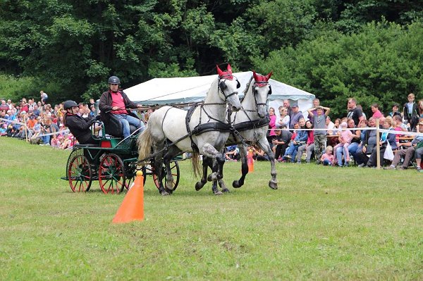 20264576_719884664879419_8025608407014756767_n