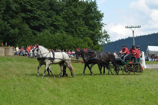 20264784_719884674879418_4844584401005354557_n