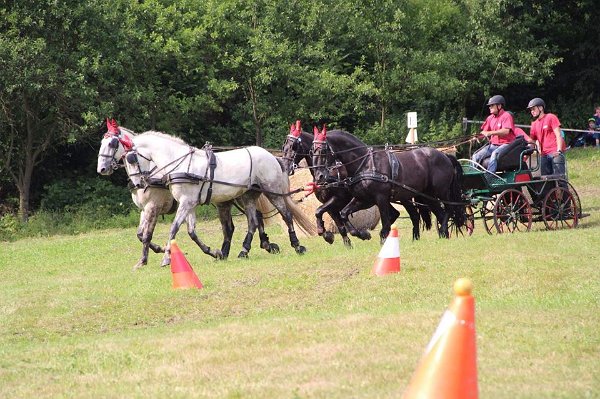 20292759_719884768212742_4947988370331498782_n