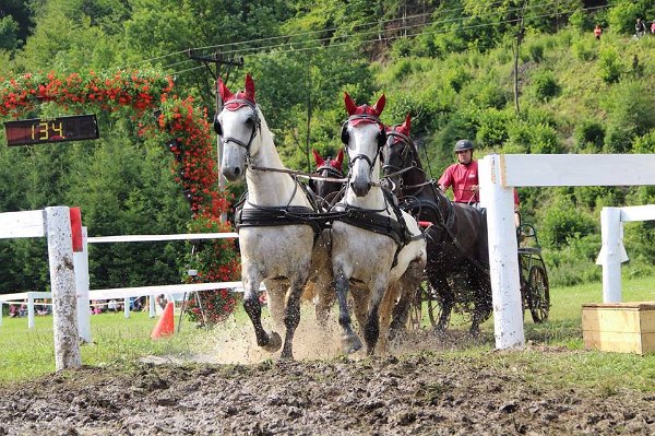 20375760_719884774879408_6202105865350440099_n