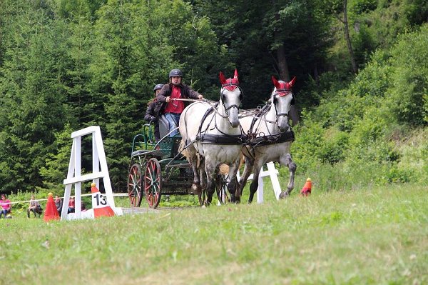 20430129_719884734879412_8819226323665642937_n