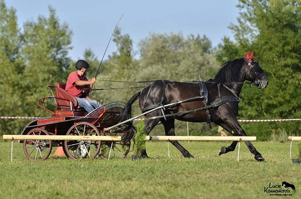 20638519_726507167550502_3643203400764812688_n