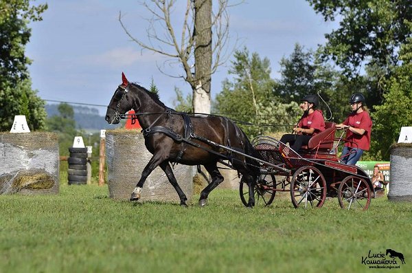 20638705_726507137550505_7514858809485986688_n